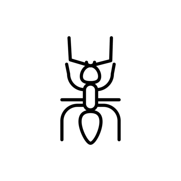 Ilustrační Vektorová Grafika Šablony Ikon Mravenců — Stockový vektor