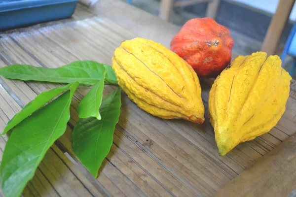 Groene Bladeren Rijpe Cacao Met Gele Rode Soorten Bamboetafel — Stockfoto