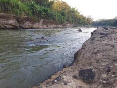 Nehirin yanında sert kayalar ve çeşitli bitkiler vardır.