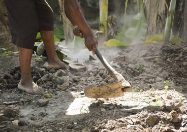 Tozcu çimenlikteki yabani otları gün boyunca arka bahçedeki çapayı kullanarak temizliyor.