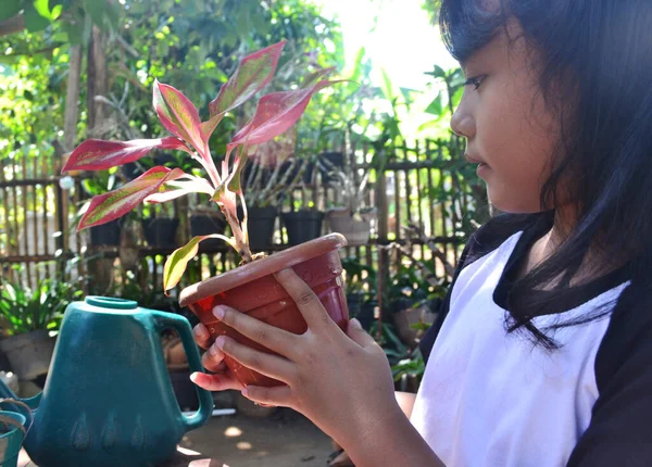 Menina Sente Estudando Para Observar Perto Mantendo Planta Ornamental Que — Fotografia de Stock