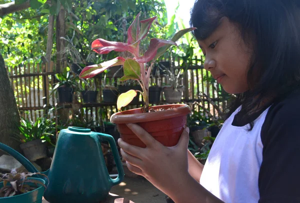 Menina Bonita Sentada Jardim Observando Perto Enquanto Segurava Uma Planta — Fotografia de Stock