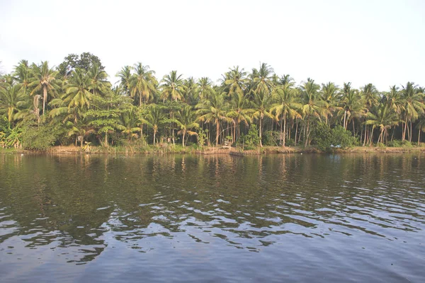 Hindistan cevizi ağaçları gün boyunca nehir kenarında çok güzel görünür.