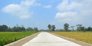 Pirinç tarlası yolu bulutlu bir gökyüzü arka planına karşı gün boyunca