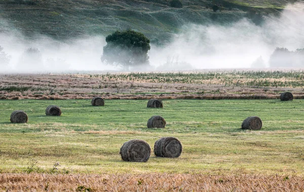 Haystack Field Fog Summer Early Morning — Stock Photo, Image