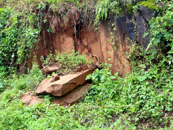 Pedra Quebrada Pedaços Como Parte Deslizamento Terra Área Eco Sensível — Fotografia de Stock