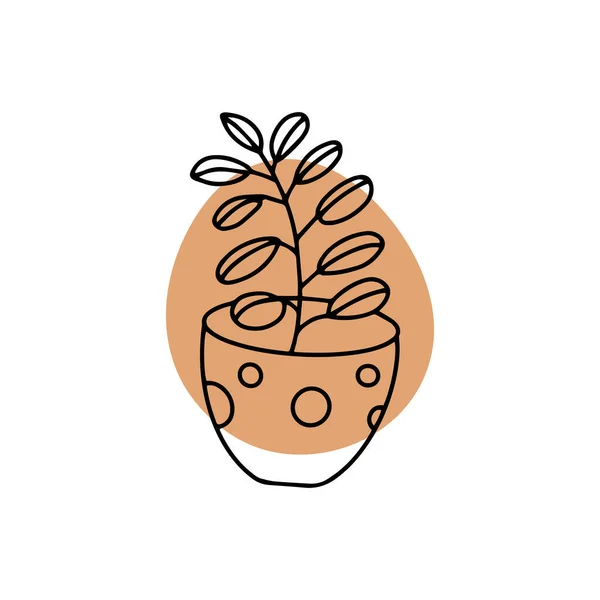 Een Lineaire Illustratie Van Een Ficus Bloem Een Pot Doodle — Stockvector