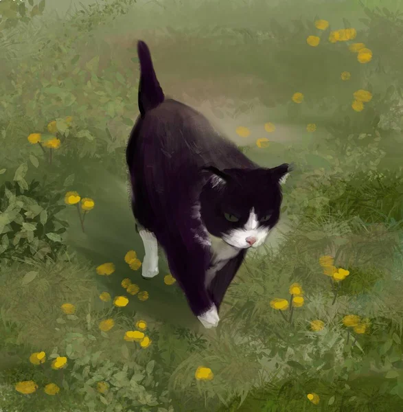 Szczęśliwy Czarny Kot Spaceruje Letniej Szklance Rysowanie Ręczne Ilustracja Cyfrowa — Zdjęcie stockowe