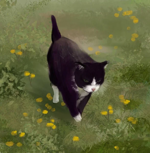 Chat Noir Heureux Marche Sur Verre Été Dessin Main Illustration — Photo