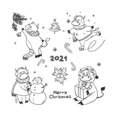 Çizgi film tarzında 4 komik Noel boğası seti. İnek kayıyor, kardan adam yapıyor, hediyeler veriyor, Noel ağacını süslüyor. Doodle tarzı. Beyaz arkaplana Yeni Yıl vektörü çizimi.