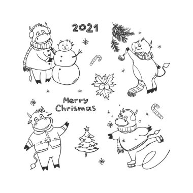 Çizgi film tarzında 4 komik Noel boğası seti. Bir inek kayıyor, kardan adam yapıyor, ayakta duruyor, bir Noel ağacını süslüyor. Doodle tarzı. Beyaz arkaplana Yeni Yıl vektörü çizimi.