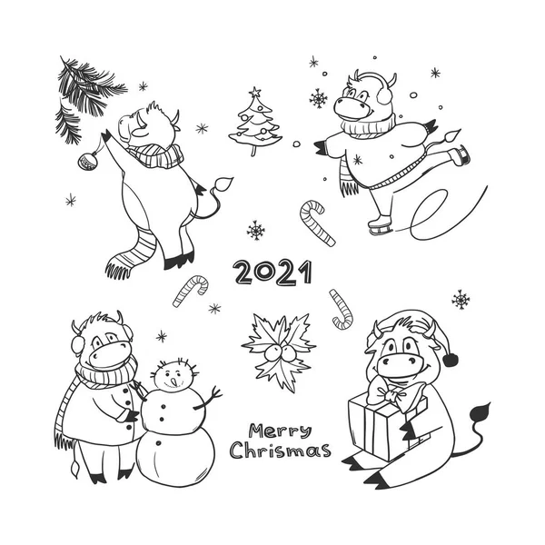 Çizgi film tarzında 4 komik Noel boğası seti. İnek kayıyor, kardan adam yapıyor, hediyeler veriyor, Noel ağacını süslüyor. Doodle tarzı. Beyaz arkaplana Yeni Yıl vektörü çizimi.