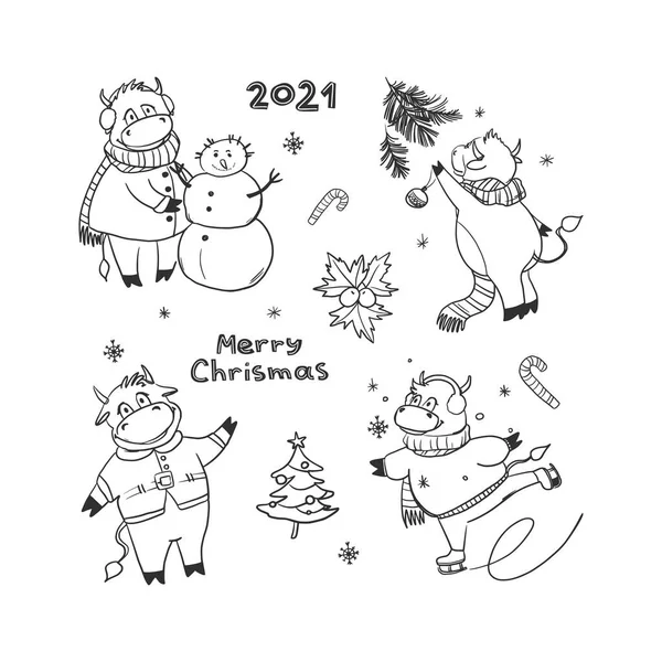 Set Funny Christmas Bulls Cartoon Style Cow Skating Making Snowman — Stock Vector