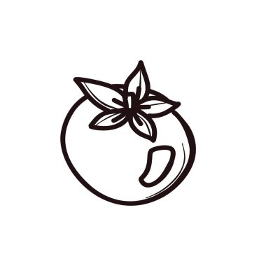 Bir domates. Sağlıklı bir sebze. Doğrusal karalama stili. Zayıflama ve sağlıklı yaşam tarzı konsepti. Tüm elementler beyaz arka planda izole edilmiştir. Vektör. Yazdırma ve ağ için.