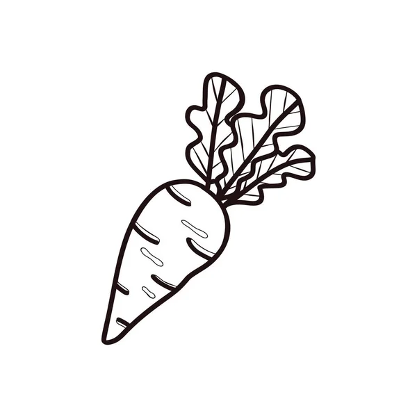 Une Carotte Bonne Alimentation Saine Style Doodle Linéaire Concept Perte — Image vectorielle
