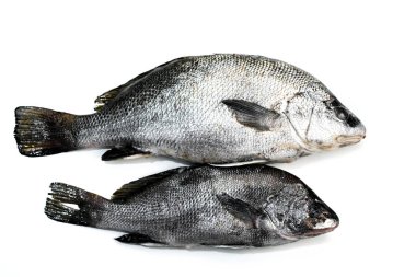 Tatil kurabiyeleri ve çay. Gülümseyen kurabiyeler. Zencefilli kurabiye adam, ağaç ve gülen yüz. Zencefilli kek Noel partisi