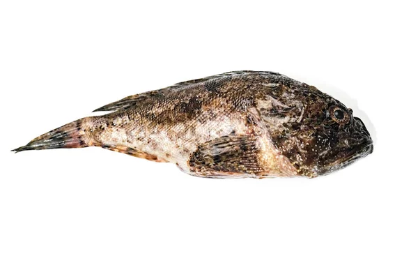 Isolierter Frischer Tiefkühlfisch Großhandel Fish Fertige Fischprodukte Auf Weißem Hintergrund — Stockfoto