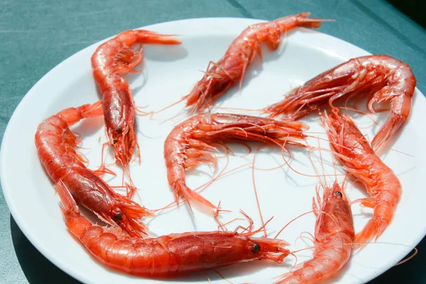 Mariscos Italianos Camarones Rojos Frescos — Foto de Stock