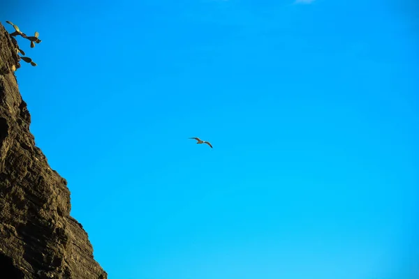 Klippor Och Havet Som Bakgrund — Stockfoto