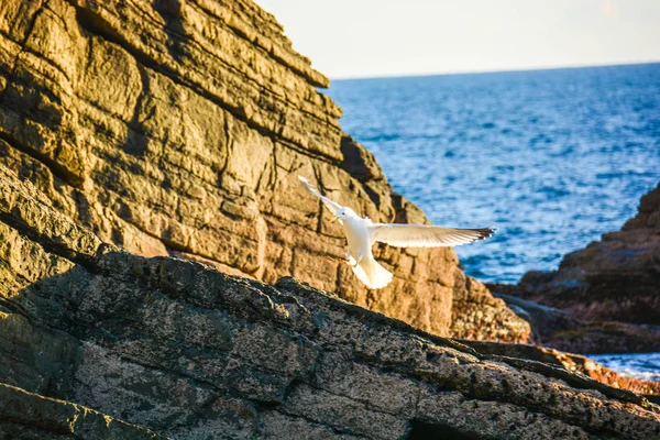 Klippen Und Meer Als Hintergrund — Stockfoto