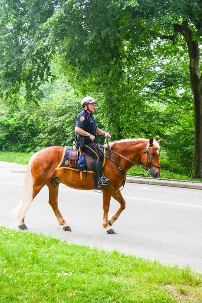 New York sembolleri ve görüşü