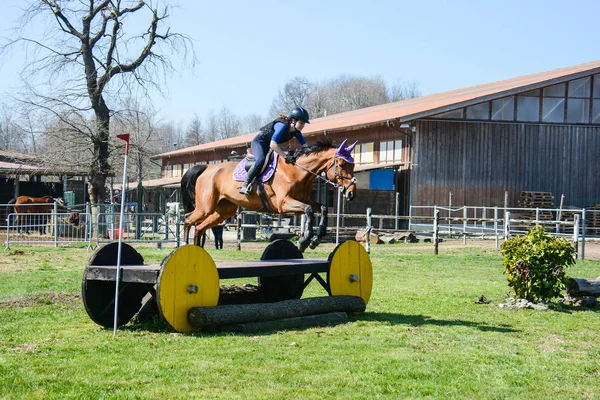 País a caballo profesional — Foto de Stock