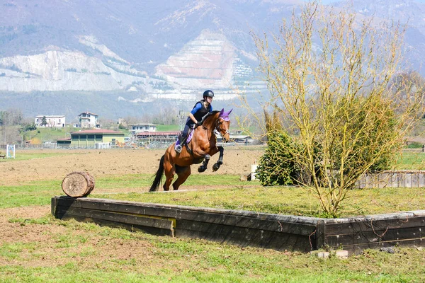 Land ridning professionell — Stockfoto