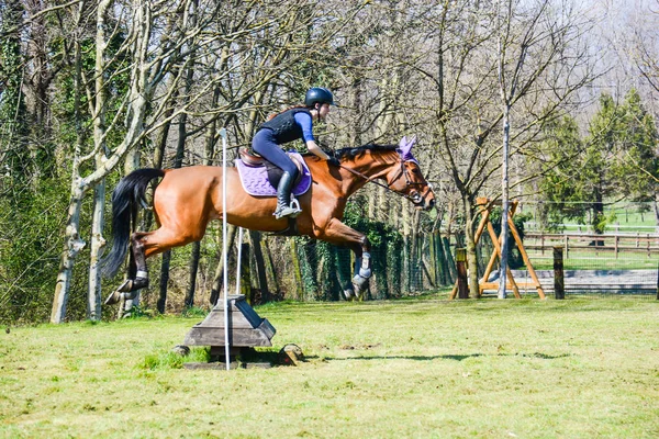 ülke sürme profesyonel