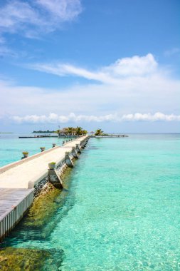 arka planlar maldivler mercan adası