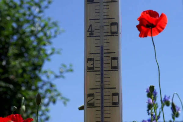 Vysokých Teplot Dosaženo Létě — Stock fotografie