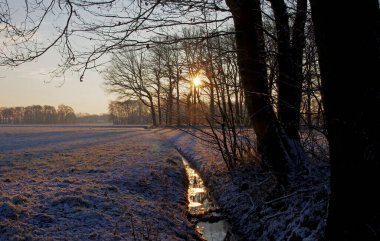 Güneş ışığı yine donmuş dereye yansıdı.