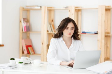 Genç güzel işkadını dizüstü ve parlak modern ofis belgede çalışmaya konsantre