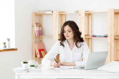 Genç güzel işkadını dizüstü ve parlak modern ofis belgede çalışmaya konsantre