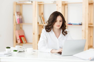 Genç güzel işkadını dizüstü ve parlak modern ofis belgede çalışmaya konsantre