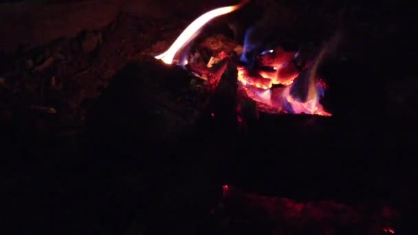 Gros plan flammes de feu de camp, Super slow motion combustion du bois de chauffage — Video