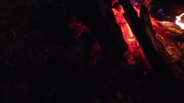 Close-up vreugdevuur vlammen van Camping Fire, Super Slow Motion brandende brandhout — Stockvideo