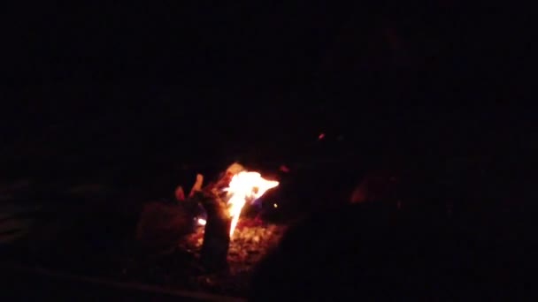 Close-up vreugdevuur vlammen van Camping Fire, Super Slow Motion brandende brandhout — Stockvideo