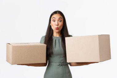 Küçük işletme sahipleri, ev kavramından başlayarak ve çalışarak. Heyecanlı ve şaşırmış Asyalı kız çevrimiçi dükkanlardan iki paket alıyor, şaşırmış görünüyor, blogcu siparişlerini açıyor, kutuları tutuyor.