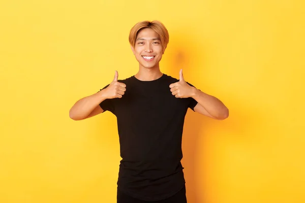 Portrét spokojeného pohledného asijského studenta, ukazující palce nahoru v uznání, stojící žluté pozadí — Stock fotografie