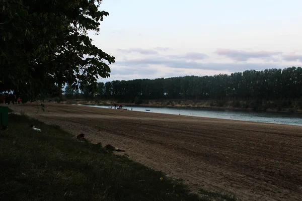 夏日的傍晚 在一条狭窄的河岸上 沙沙作响 — 图库照片