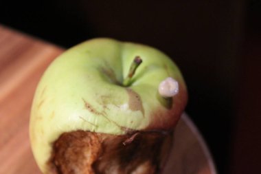 Diş düştü ve elmanın yanına uzandı.