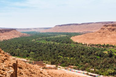 yeşil vaha taraf rock Canyon Fas arasında palmiye ağaçları ile