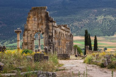Meknes Fas'ta yakınındaki Volubilis - popüler turistik cazibe ve bir Roma kalıntıları. Bu listelenen bir Unesco Dünya Mirası.
