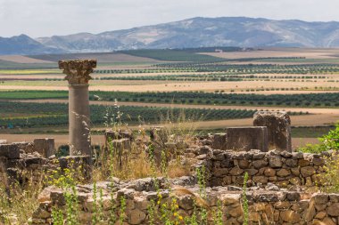 Meknes Fas'ta yakınındaki Volubilis - popüler turistik cazibe ve bir Roma kalıntıları. Bu listelenen bir Unesco Dünya Mirası.