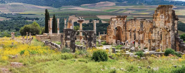 Meknes Fas'ta yakınındaki Volubilis - popüler turistik cazibe ve bir Roma kalıntıları. Bu listelenen bir Unesco Dünya Mirası.