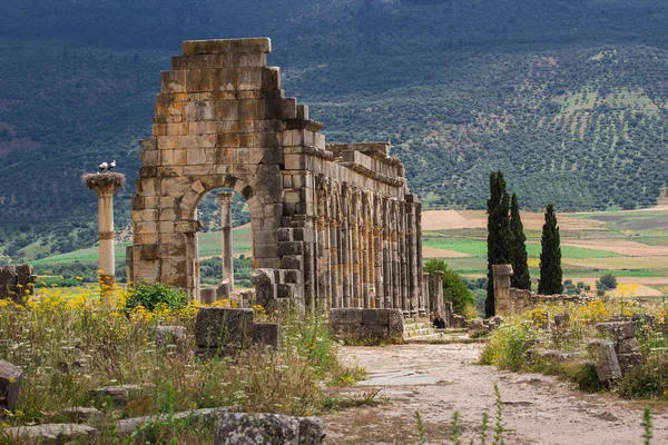 Meknes Fas'ta yakınındaki Volubilis - popüler turistik cazibe ve bir Roma kalıntıları. Bu listelenen bir Unesco Dünya Mirası.