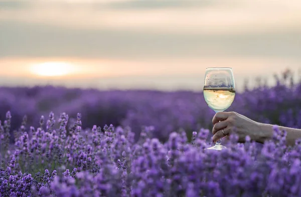 el ile bir ayar lavanta alan zemin çiçek ve xun içindeki yansıması ile karşı beyaz şampanya