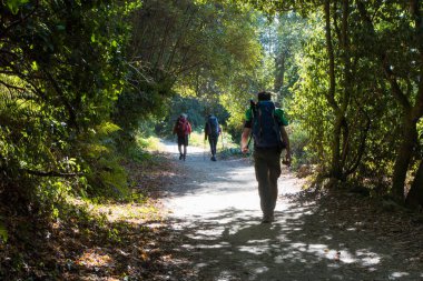 Galiçya, İspanya - Ekim, 10: Santiago de Compostela için Padron gelen yol boyunca Pilgrimns Camino de Santiago iz, Galiçya, İspanya, 10 Ekim 2018