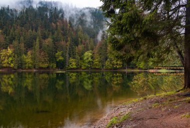 Yağmurlu bahar gününden sonra Synevyr Gölü. Ukrayna 'daki en büyük dağ gölü. Zakarpatska bölgesi, Ukrayna.