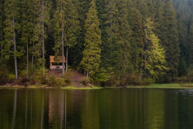 Yağmurlu bahar gününden sonra Sinevir Gölü. Ukrayna 'daki en büyük dağ gölü. Zakarpatska bölgesi, Ukrayna.
